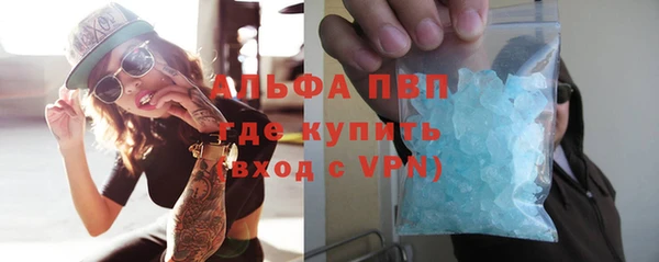 сатива Новодвинск